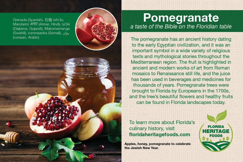 Pomegranate Front