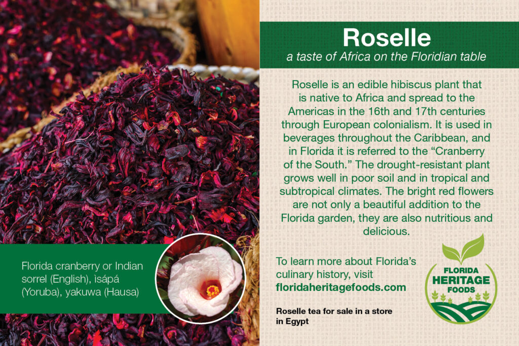 Roselle Recipe Card front
