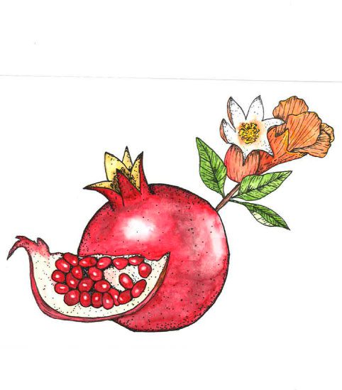 Pomegranate