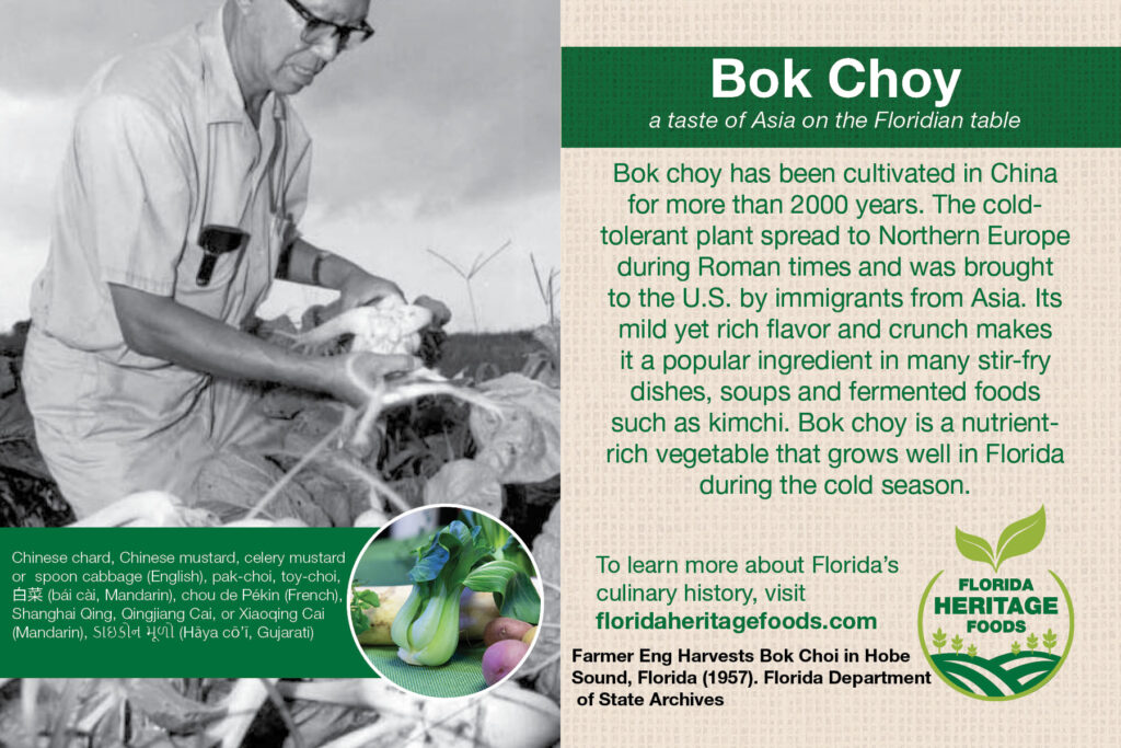Bok Choy Recipe Card Front