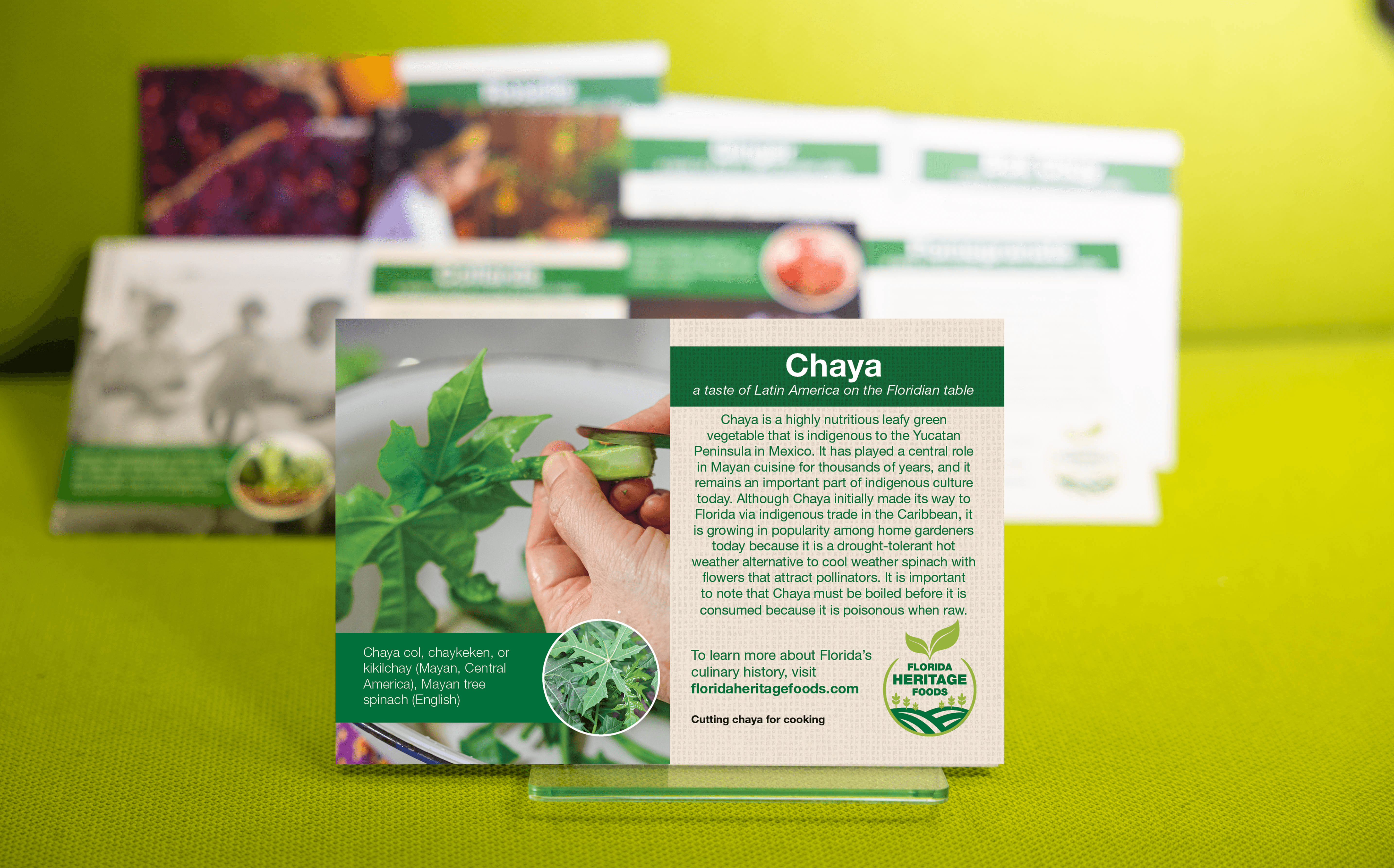 Chaya Plant Card Photo