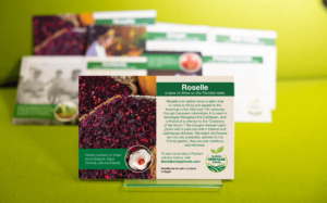 Roselle Plant Card Photo