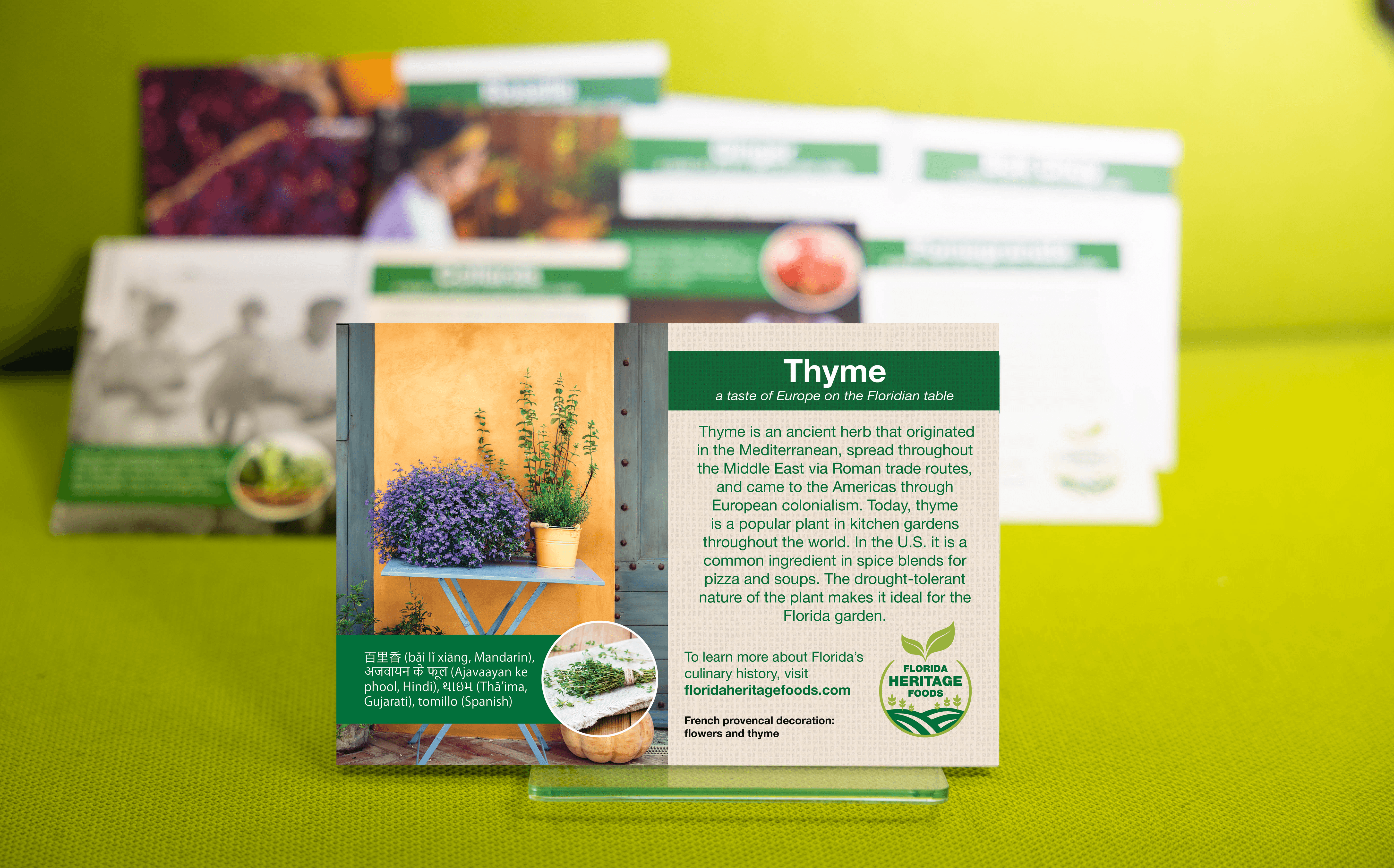 thyme plant card mockup