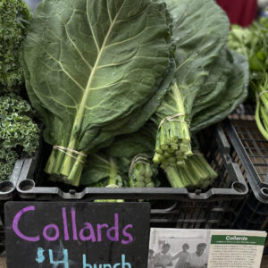 Roots and Herbs Festival